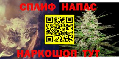 стаф Рязань