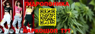 стаф Рязань