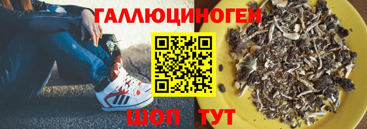Галлюциногенные грибы прущие грибы  Псилоцибиновые грибы GOLDEN TEACHER  Нерюнгри  Вход с VPN 