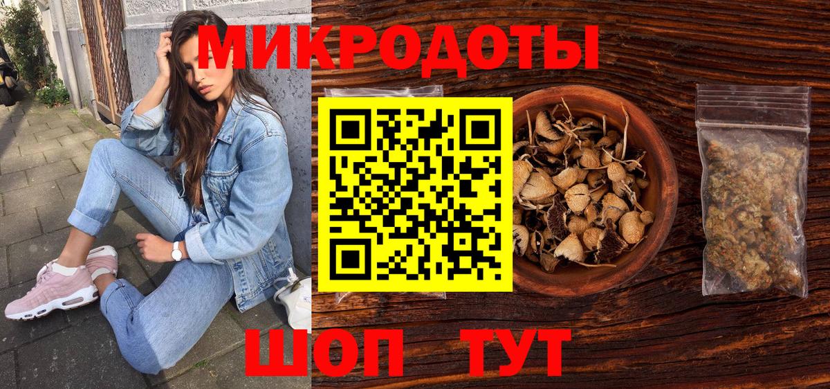 Псилоцибиновые грибы Psilocybe Нерюнгри